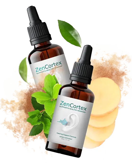 what-is-ZenCortex